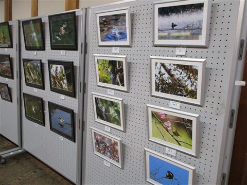 松山城二之丸史跡庭園 城山公園写真展