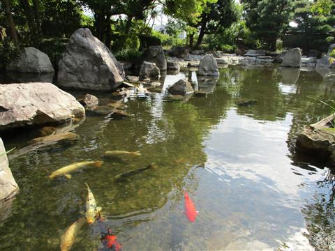 松山城二之丸史跡庭園 城山公園写真展