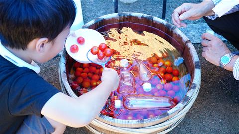 夏の土曜は武蔵で遊ぼう！今年の旧武蔵はちょっと違う！毎週土曜がプチ夏祭り