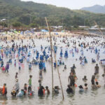 海と光と夢の祭典 「サマーフェスタinかみうら2025」