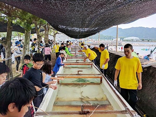 海と光と夢の祭典 「サマーフェスタinかみうら2025」
