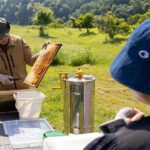 ワクドキ！はたらく冒険隊?夏の自由研究スペシャル?