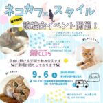 ネコカフェスタイルの譲渡会イベント