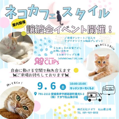 ネコカフェスタイルの譲渡会イベント