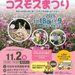 第36回みま町コスモスまつり