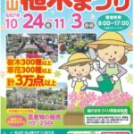 松山植木まつり