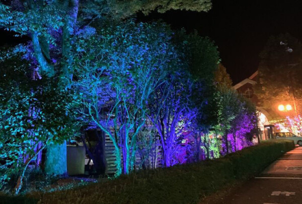 マイントピア別子 イルミネーション