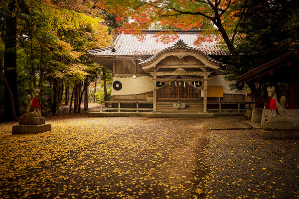 新谷もみじまつり