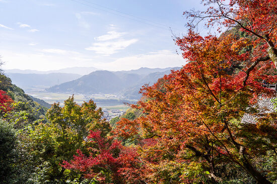 白滝もみじフェスティバル