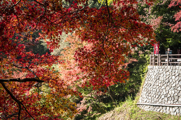 白滝もみじフェスティバル