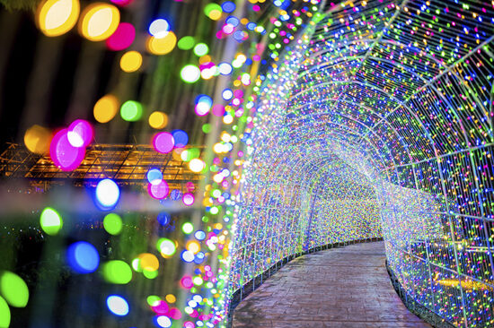 タオル美術館 3D Projection Mapping and Illumination