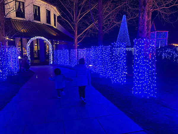 タオル美術館 3D Projection Mapping and Illumination