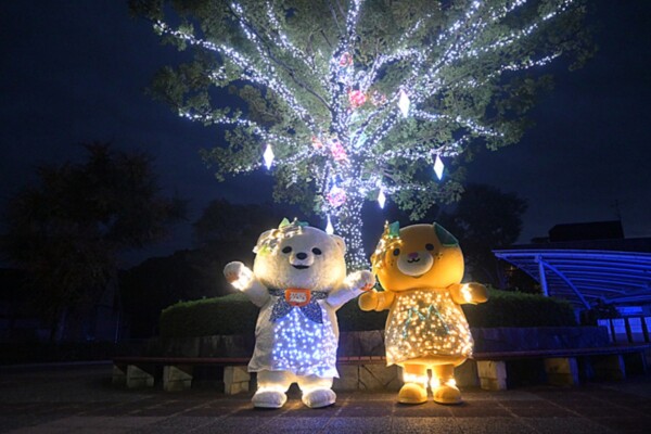 提供:愛媛県立とべ動物園 とべZOOイルミネーション