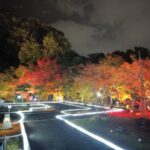 二之丸 光の庭園