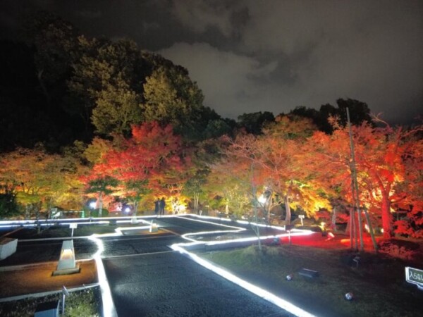 二之丸 光の庭園