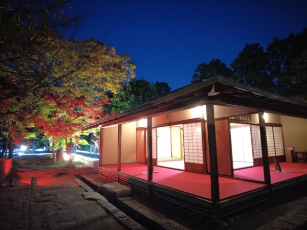 二之丸 光の庭園