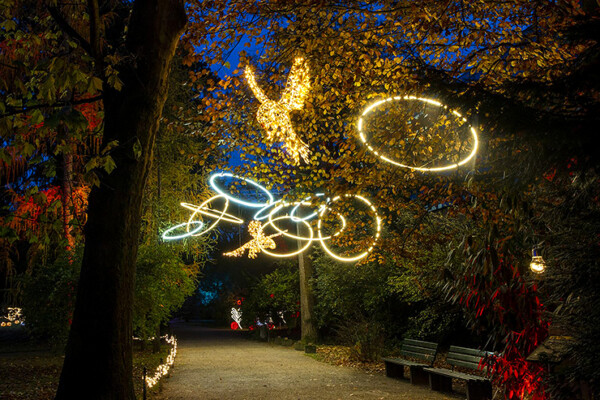 フェスタ・ルーチェ in えひめこどもの城