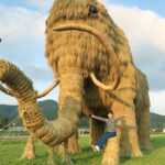 わらマンモスまつり in 西予市