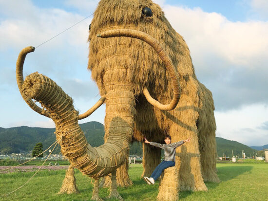 わらマンモスまつり in 西予市