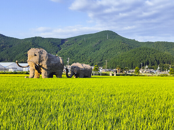 わらマンモスまつり in 西予市