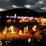 三間の中山池自然公園イルミネーション