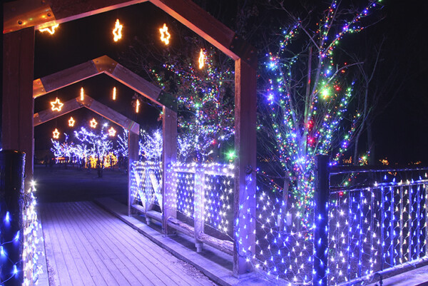 三間の中山池自然公園イルミネーション