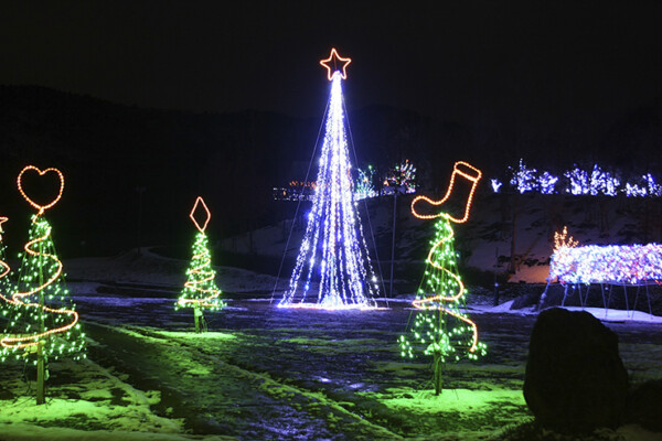 三間の中山池自然公園イルミネーション