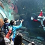 虹の森公園おさかな館クリスマスイベント ナイトアクアリウム・ウィンターイルミネーション・ダイバーサンタ