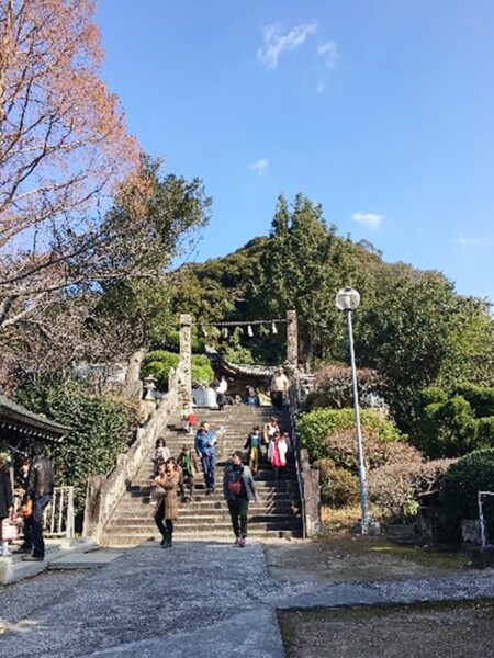 宇和島 三島神社 初詣
