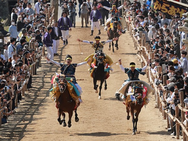 加茂神社 お供馬の初走り