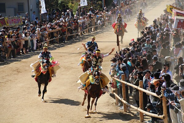 加茂神社 お供馬の初走り