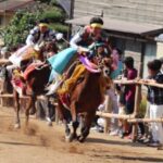 加茂神社 お供馬の初走り
