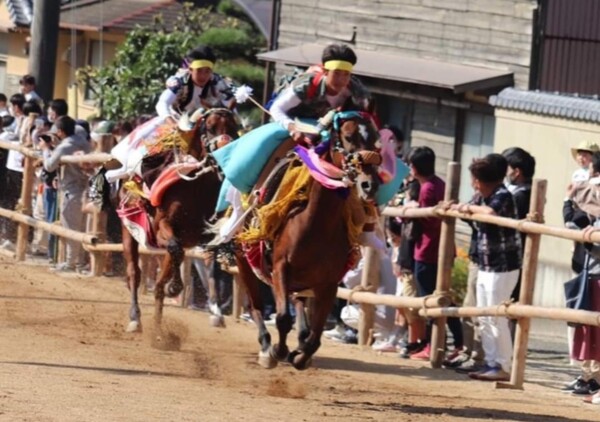 加茂神社 お供馬の初走り