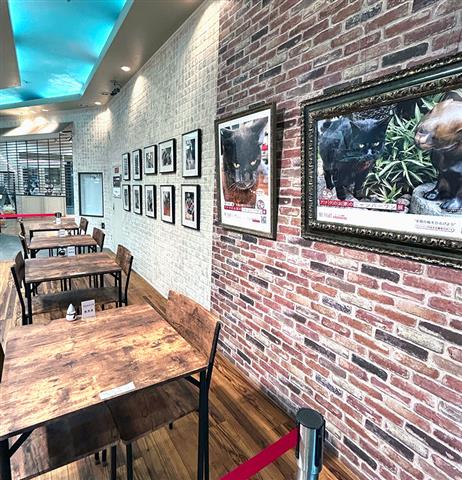 『アナタのお家のニャンバーワン展_Vol.10』 【BE-FLAT_My Friend Gallery】