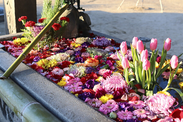 三津嚴島神社 初詣