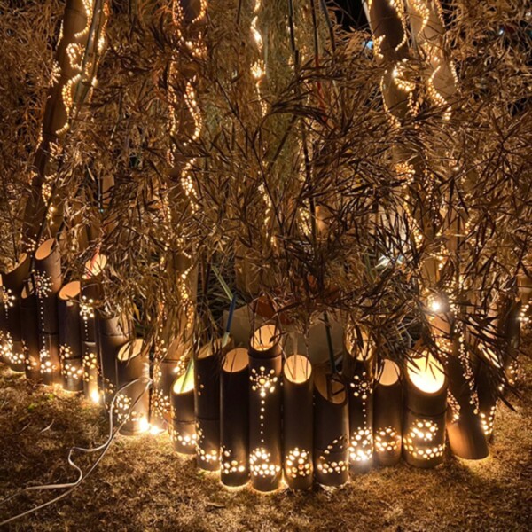 クリスマスオレンジフェスティバル