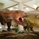 愛媛県総合科学博物館 新春イベント