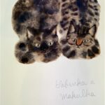 出久根育 作品展「SABINKA A MAKULKA」