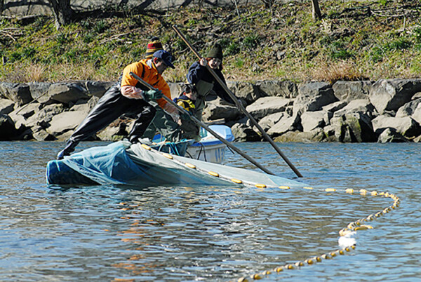 津島しらうお＆産業まつり