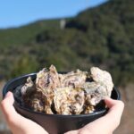 ※中止※牡蠣まつり in マイントピア別子