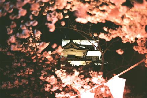 大洲城 夜桜マルシェ