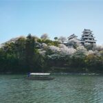 春のひじかわ遊覧船