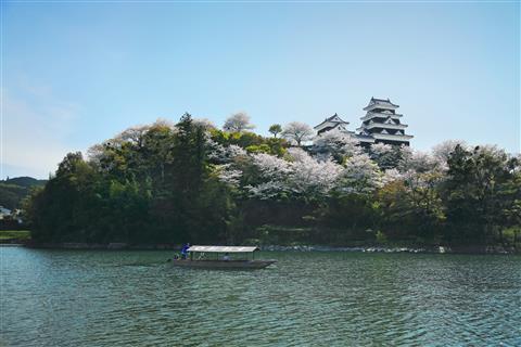春のひじかわ遊覧船