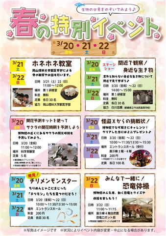 愛媛県総合科学博物館 春の特別イベント